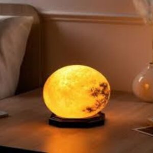 Customized Lamps